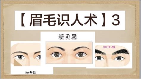 羅漢眉|面相大全——眉毛